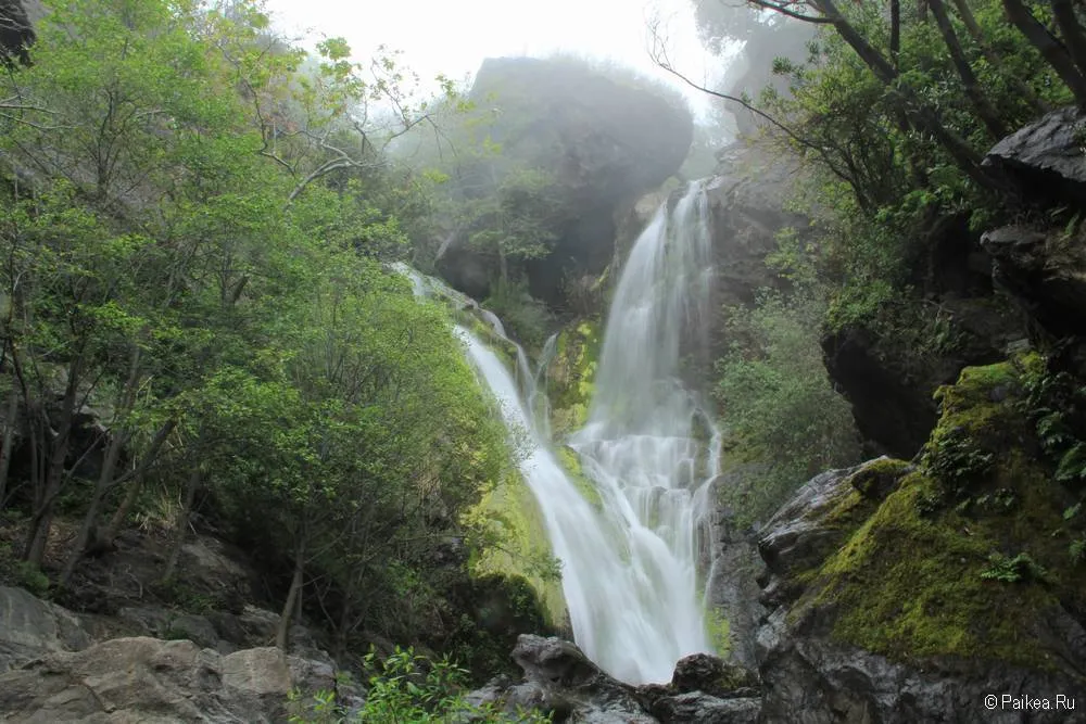 водопад салмон крик (salmon creek falls), калифорния 17