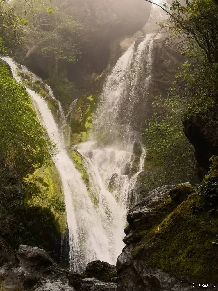 водопад салмон крик (salmon creek falls), калифорния 26