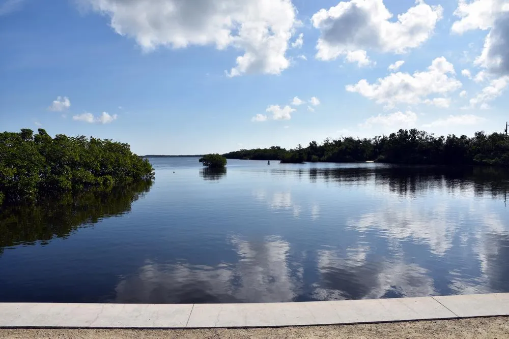 парк джон пеннекамп корал риф / john pennekamp coral reef state park 56