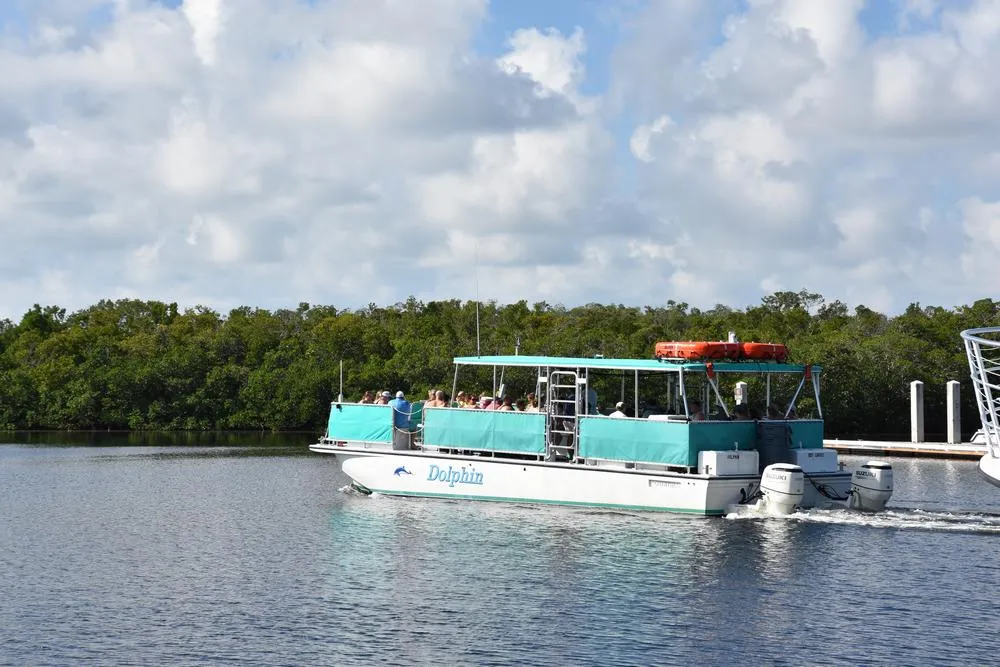 парк джон пеннекамп корал риф / john pennekamp coral reef state park 65