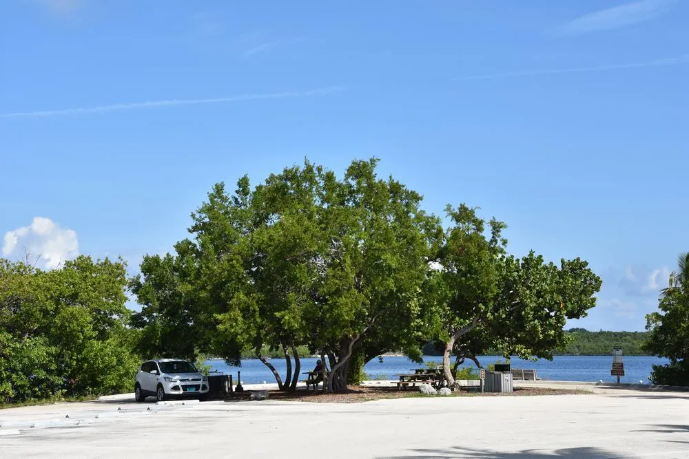 парк джон пеннекамп корал риф / john pennekamp coral reef state park 82