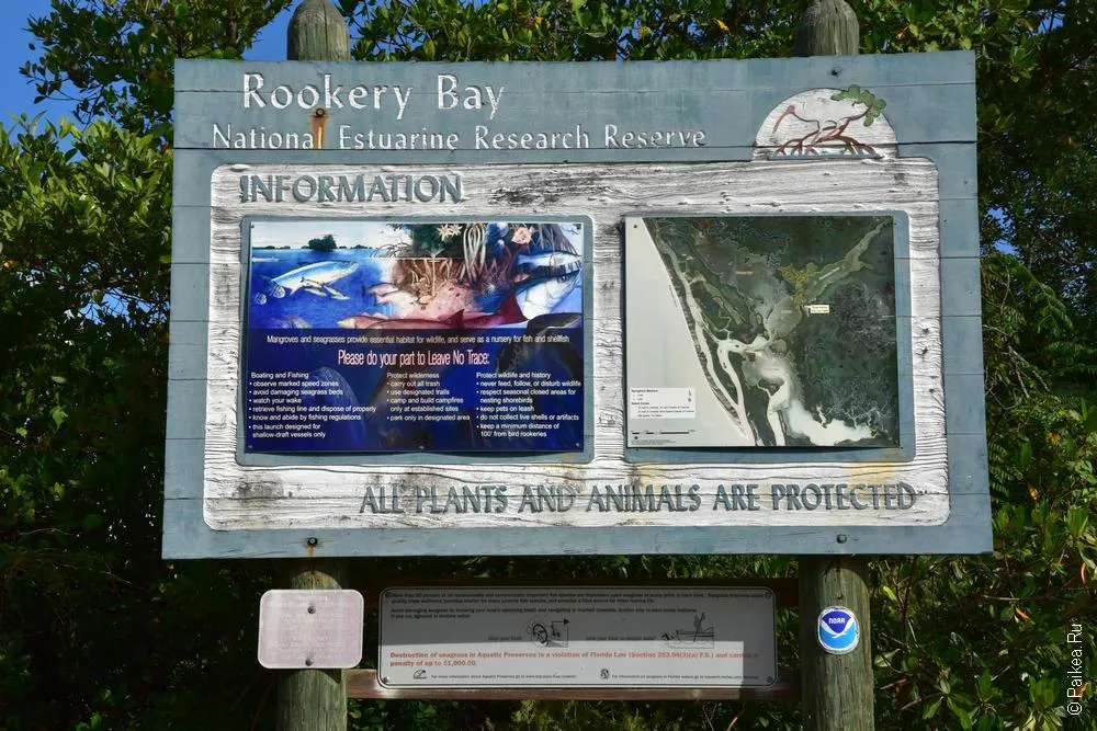рукери бэй / rookery bay / флорида, сша 28