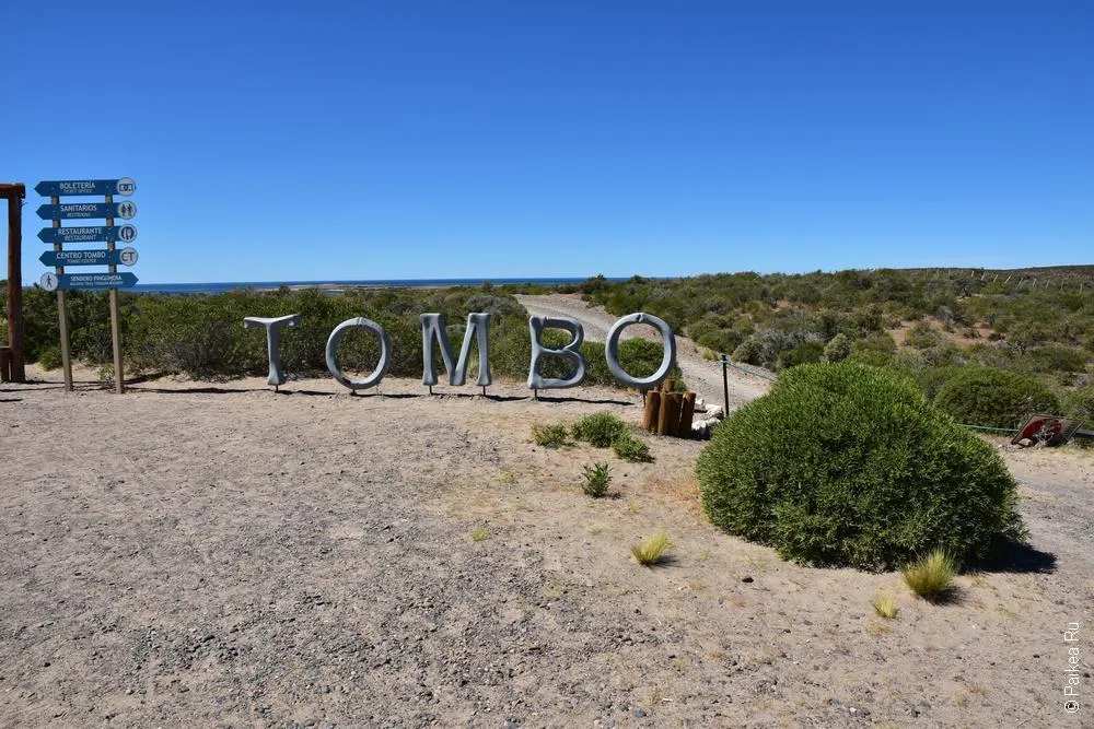 пунта томбо пингвины / punta tombo 4
