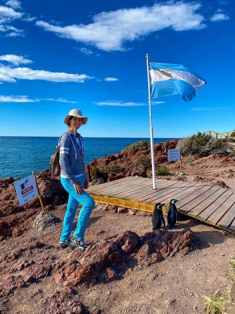 пунта томбо пингвины / punta tombo 85