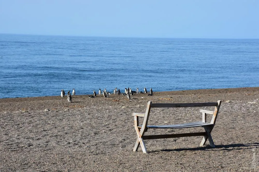 эстанция сан лоренцо / estancia san lorenzo 36