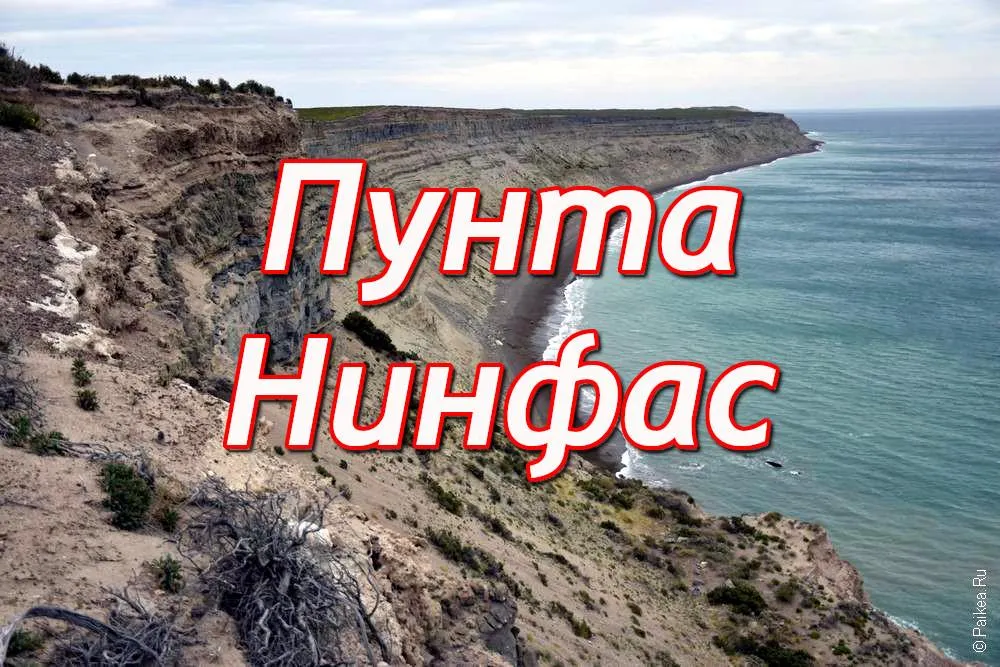 пунта нинфас (punta ninfas)