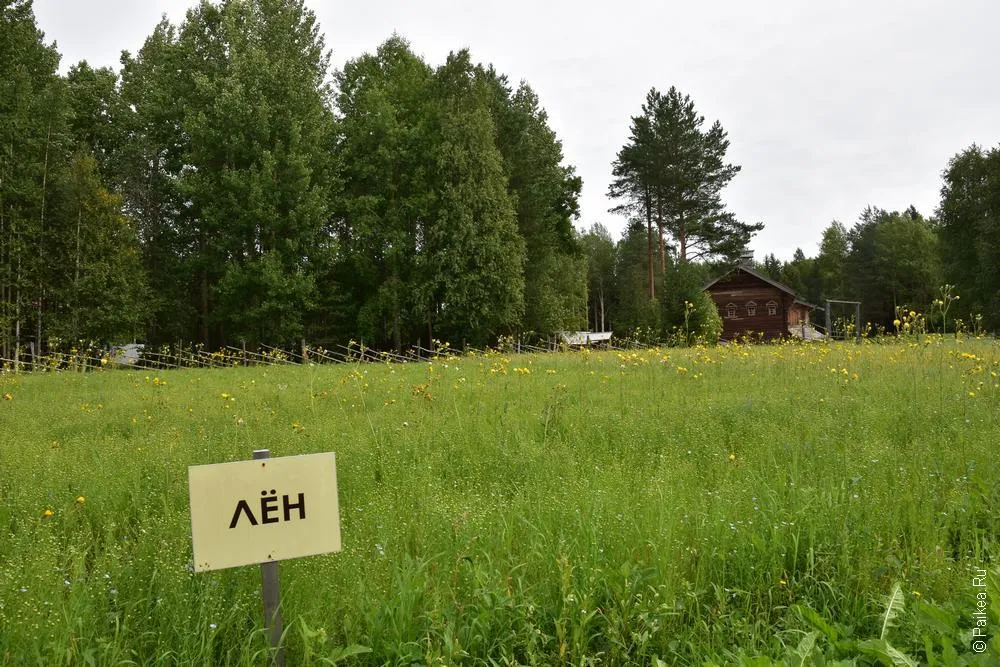 архангельск малые корелы