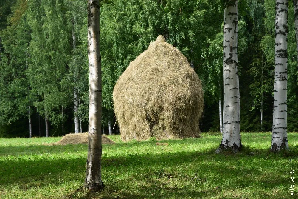 архангельск малые корелы